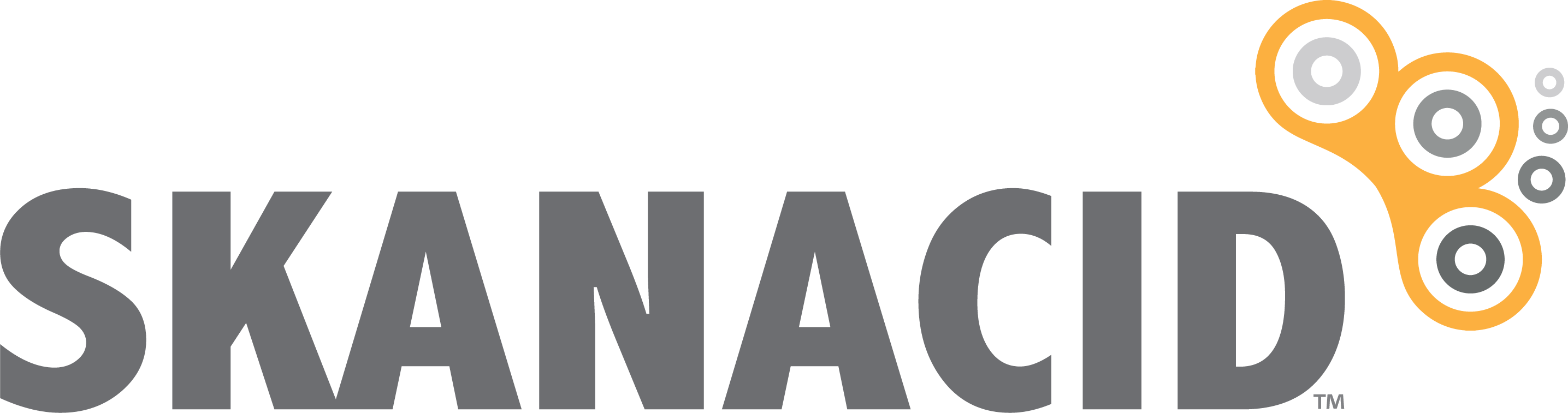 Skanacid Logo Happy New Year from Skanacid