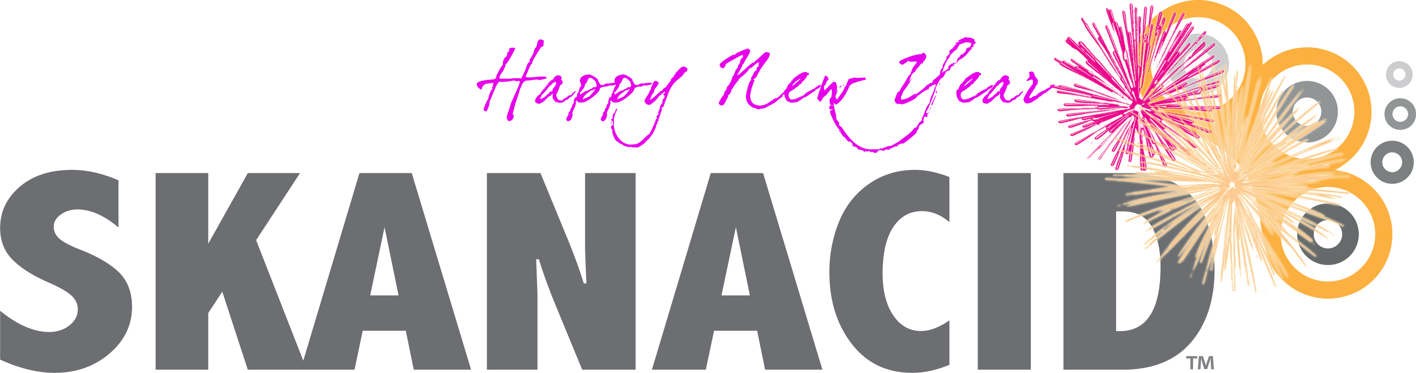 Happy New Year from Skanacid